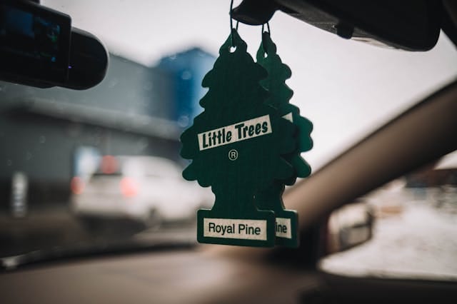 Green Little Trees Royal Pine air fresheners hanging from a rearview mirror inside a car, with a blurred street view in the background.